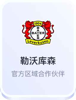 勒沃库森 - 开云体育官方区域合作伙伴