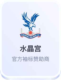 水晶宫 - 开云体育官方袖标赞助商